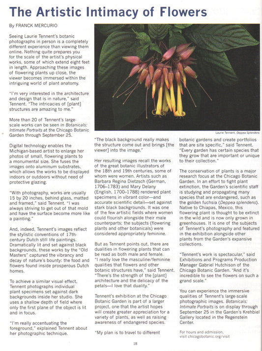 CHICAGO GALLERY NEWS REVIEW 2016