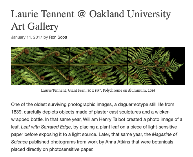 REVIEW - OAKLAND UNIVERSITY ART GALLERY - HIBERNA FLORES