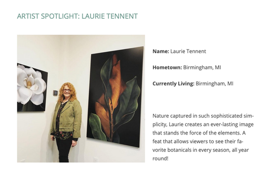 Anne Neilson Artist Spotlight