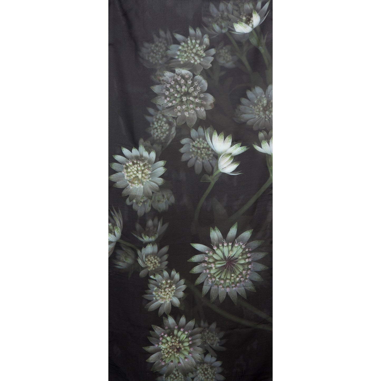 Astrantia Scarf - Georgette