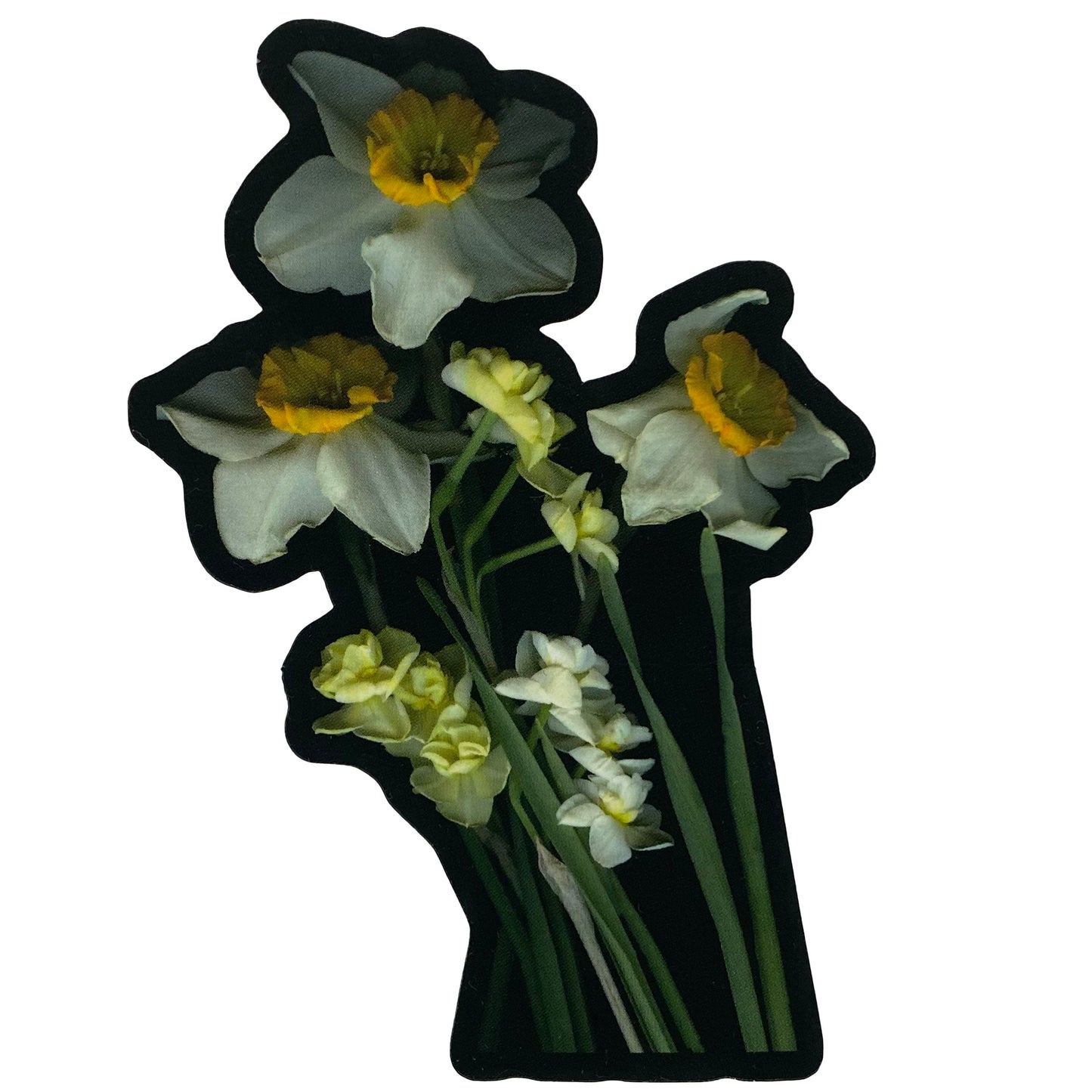 Die Cut Matte Stickers