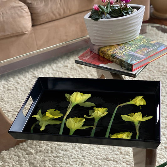 Daffodil 5 Tray