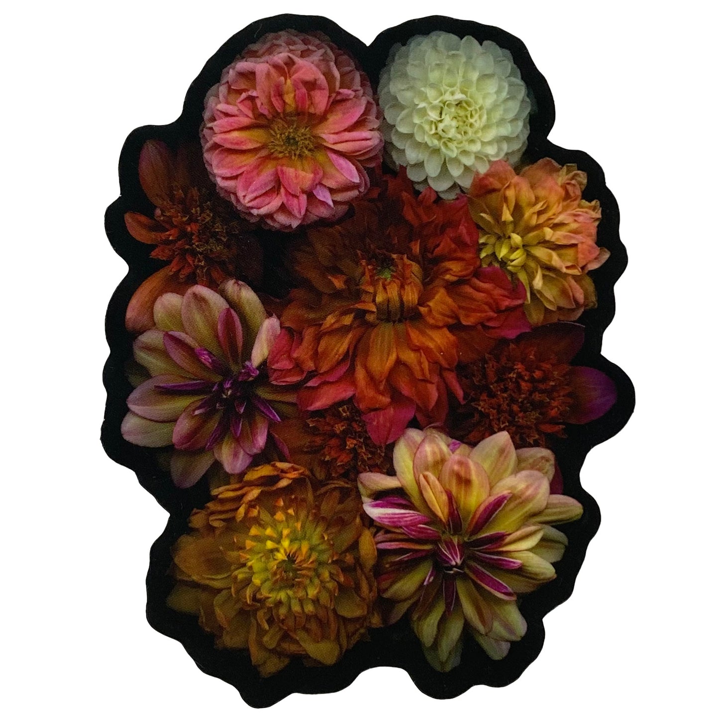 Die Cut Matte Stickers