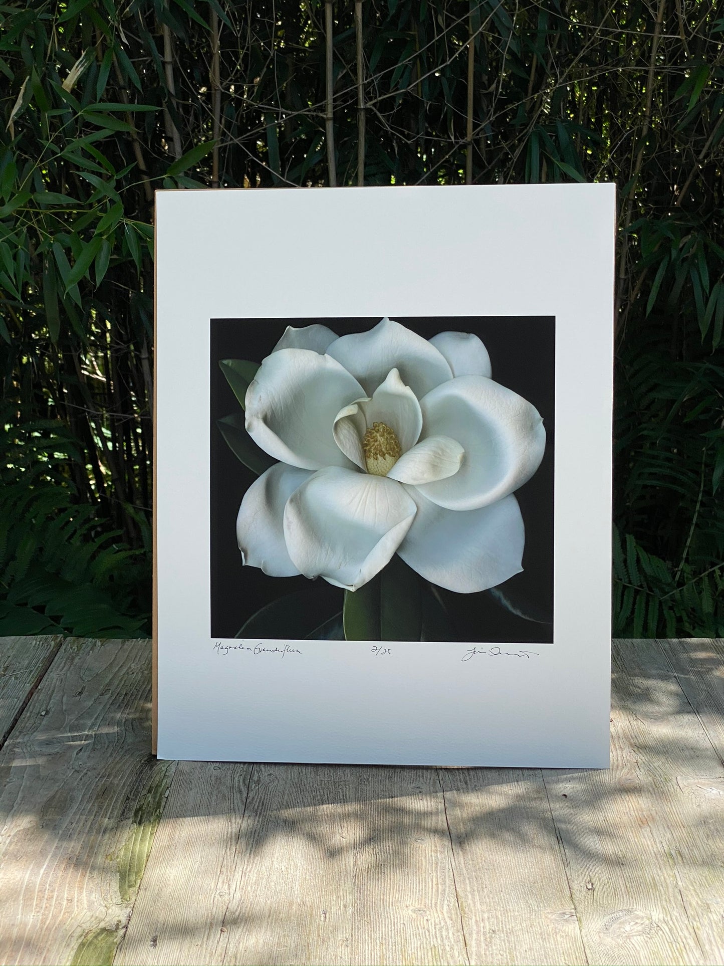 Limited Edition Artist Prints