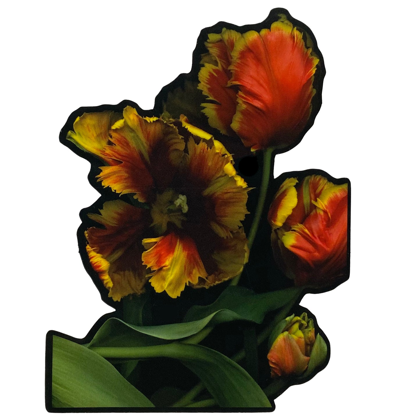 Die Cut Matte Stickers
