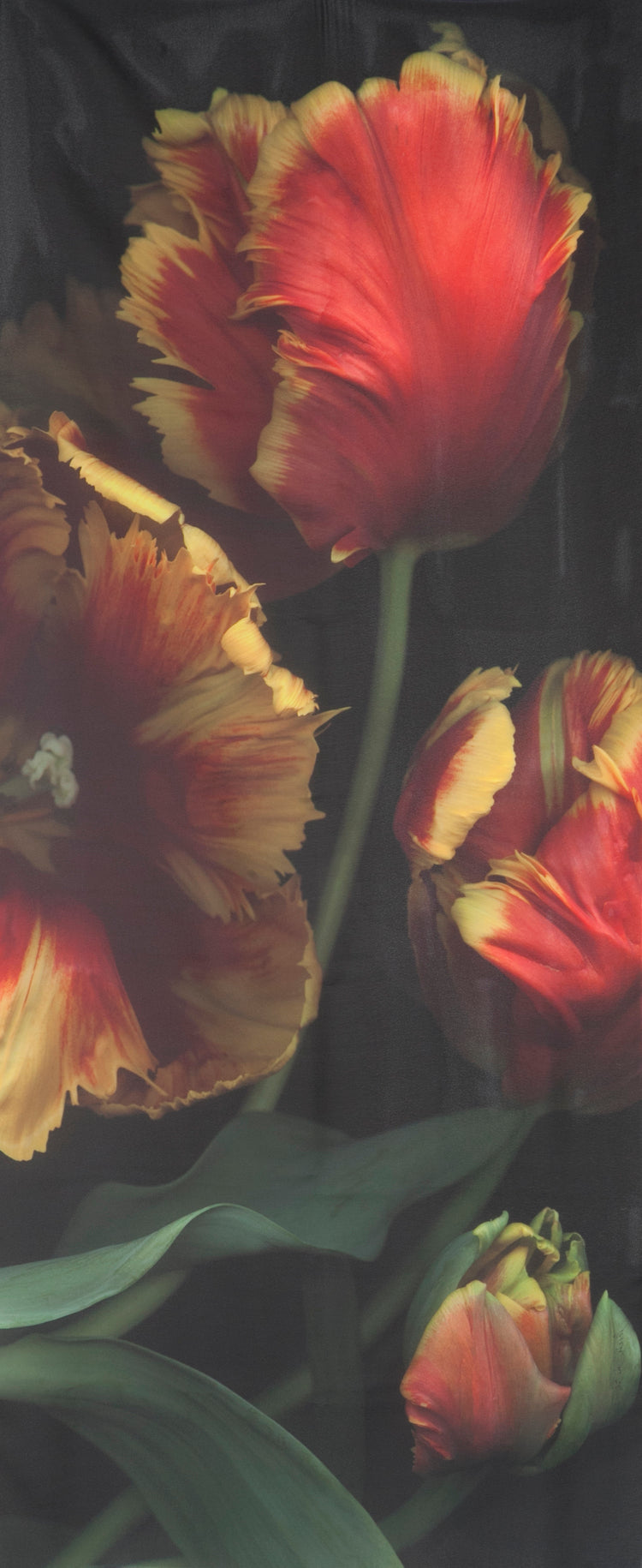 Tulip Scarf - Georgette