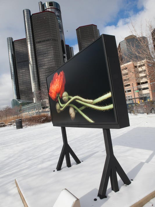 Dramatic flower images by Laurie Tennent installed on Detroit RiverWalk East