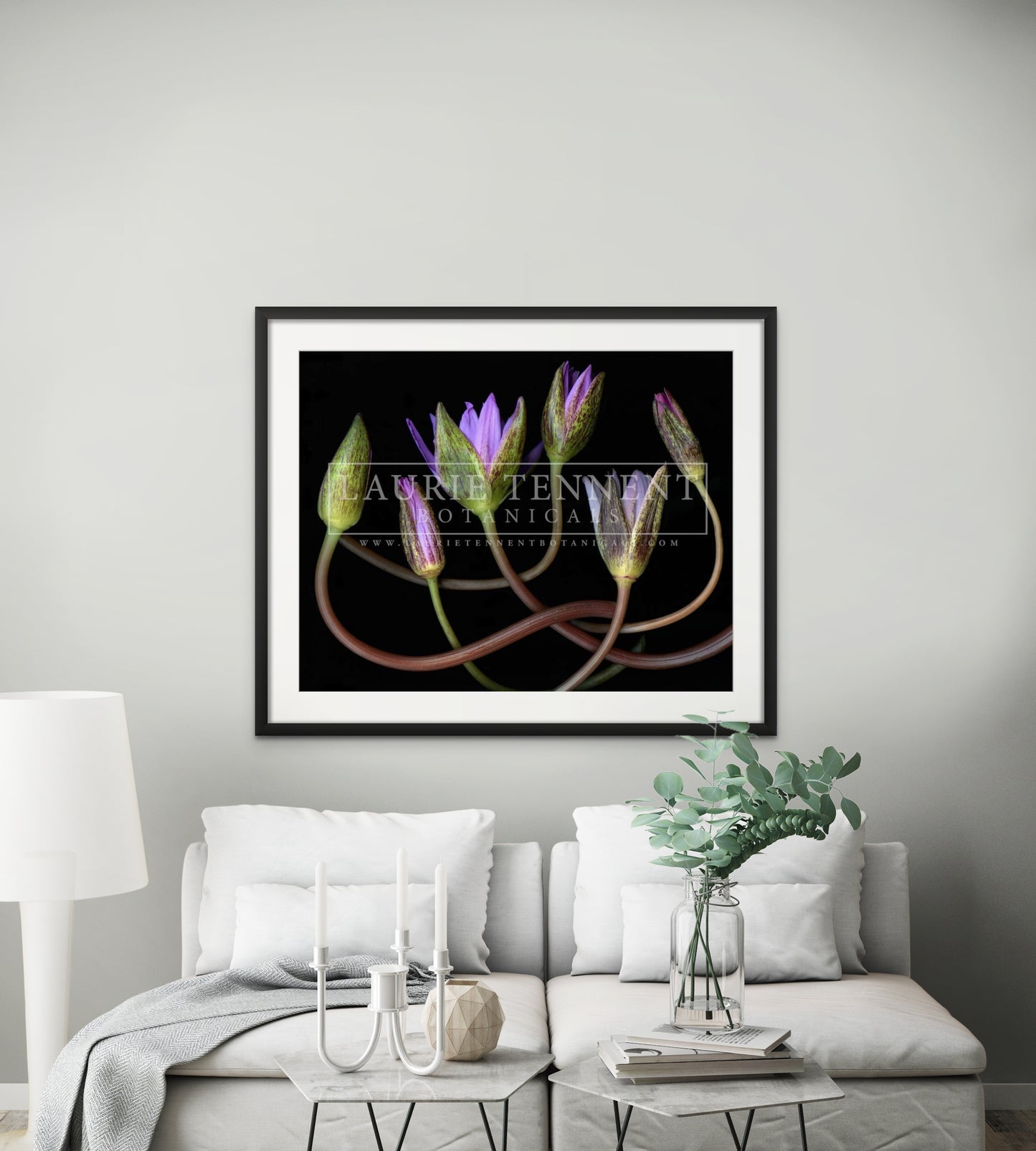 Water Lillies (Unframed Print)