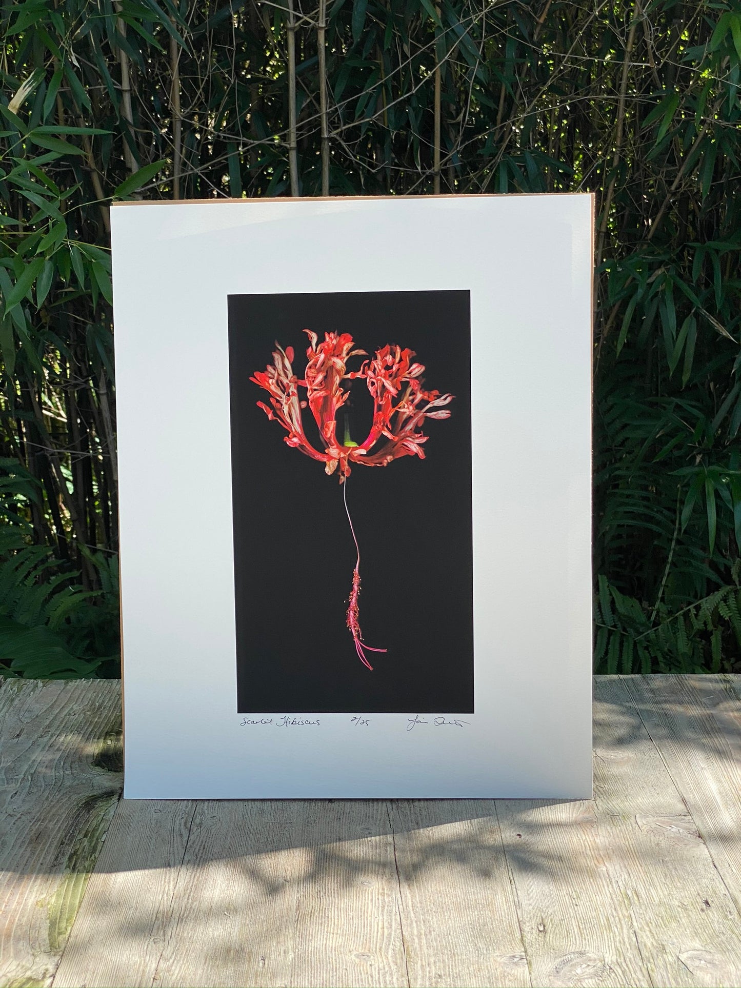 Limited Edition Artist Prints